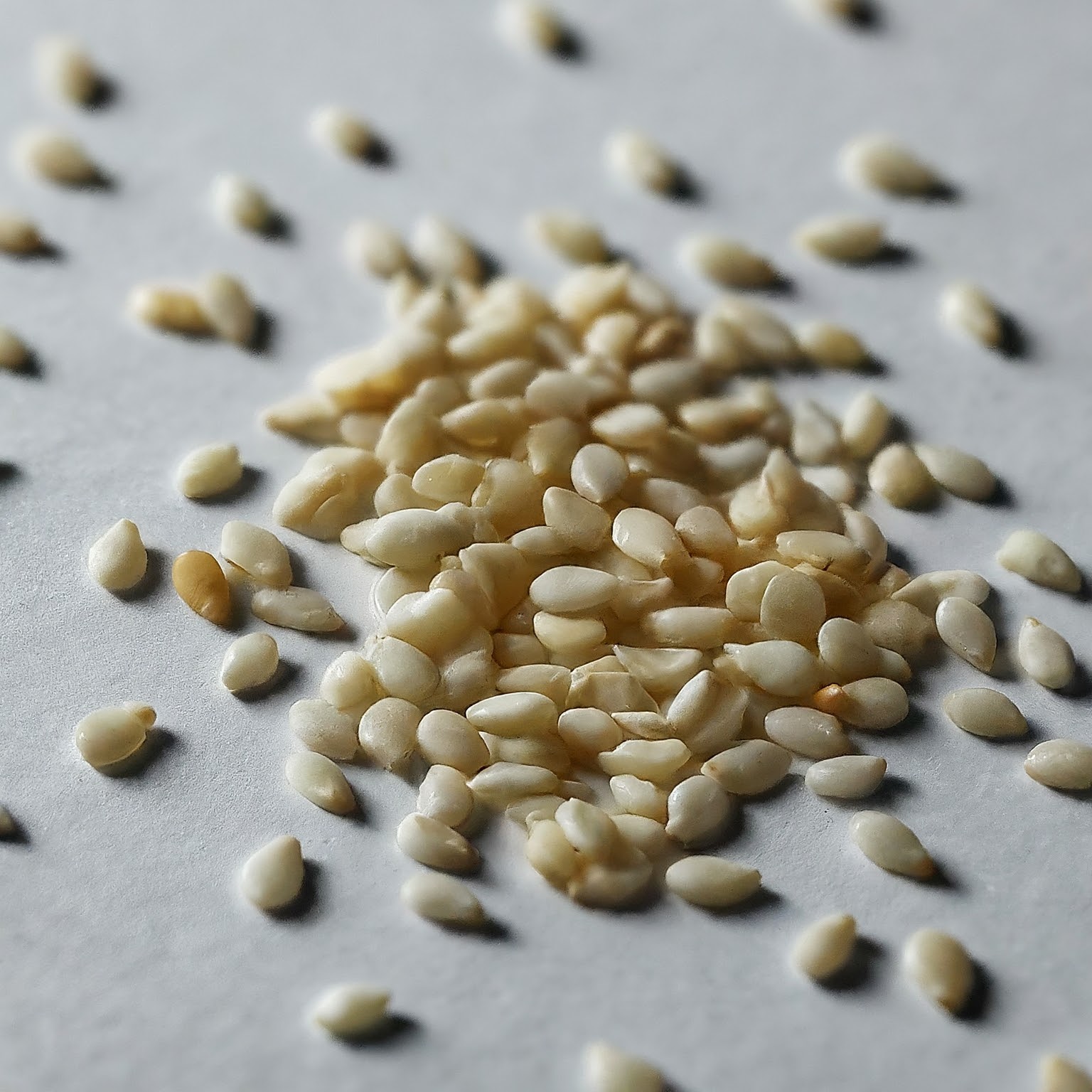 Sesame Seeds