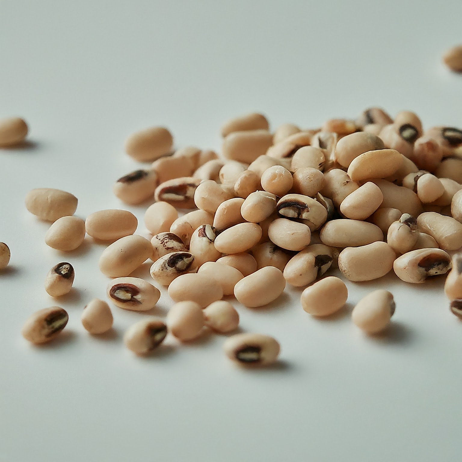 Cowpea