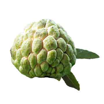 Custard Apple - Sitaphal/Sharifa