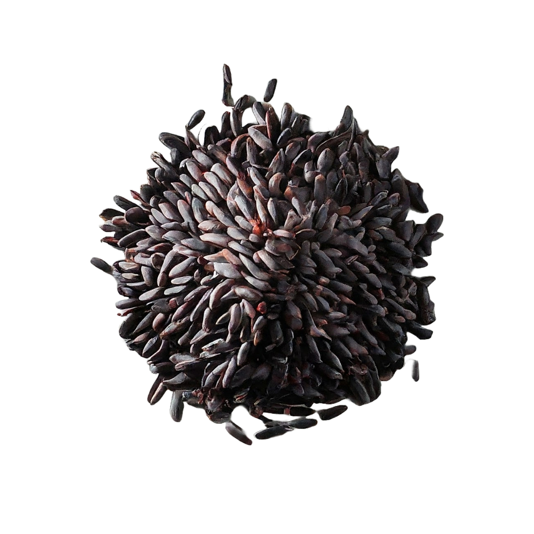 Black Rice (Chakhao)